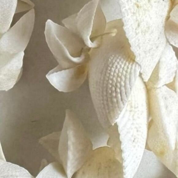 Vintage Cockle Scallop Hawaii Seashell Lei Natural 39” White Shell Necklace - Picture 8 of 10